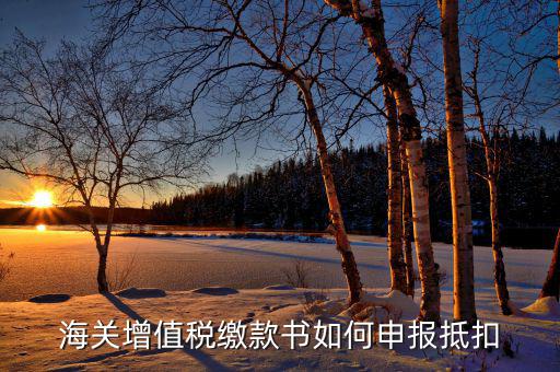 海關增值稅如何抵扣，海關增值稅繳款書如何申報抵扣