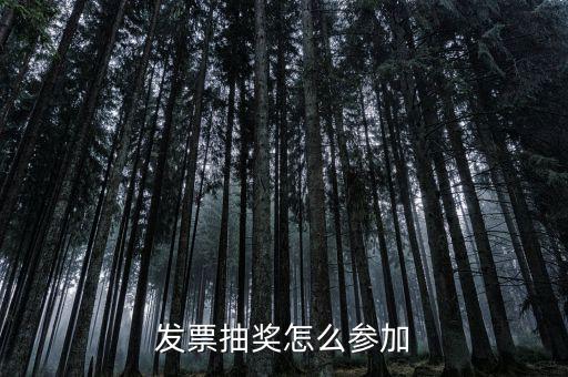 發票抽獎怎么參加