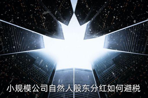 個人股東分紅如何避稅，小規模公司自然人股東分紅如何避稅