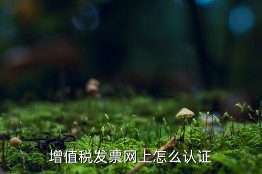 增值稅發票網上怎么認證