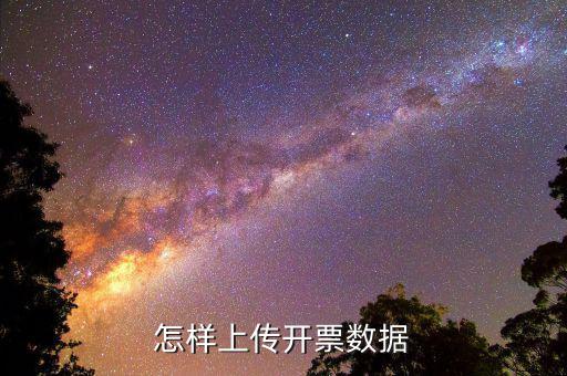 如何上傳進項發票明細，怎樣上傳開票數據
