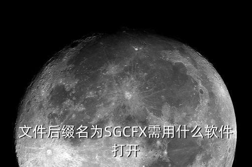 稅收調(diào)查用什么程序打開，文件后綴名為SGCFX需用什么軟件打開
