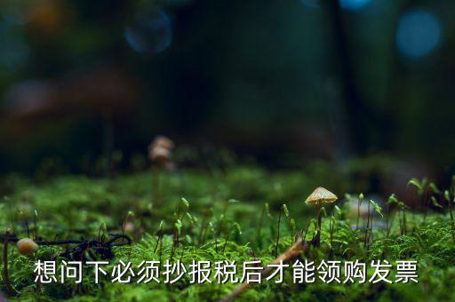 想問下必須抄報稅后才能領購發票