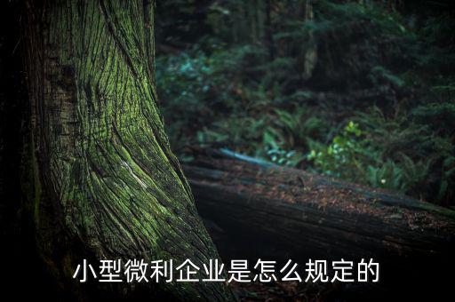 小型微利企業是怎么規定的