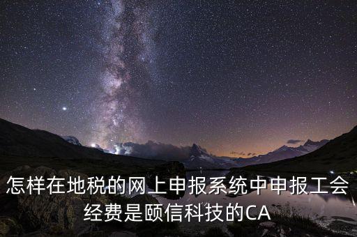 怎樣在地稅的網上申報系統中申報工會經費是頤信科技的CA