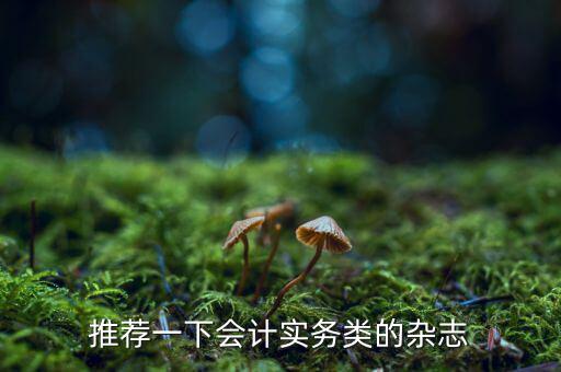 納稅這個期刊如何，推薦一下會計實務類的雜志