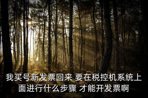 稅控系統如何開票，我買號新發票回來 要在稅控機系統上面進行什么步驟 才能開發票啊