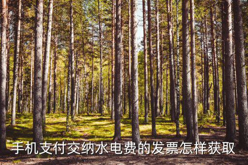 手機支付交納水電費的發票怎樣獲取