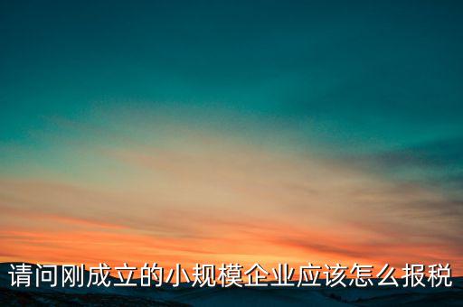 請問剛成立的小規模企業應該怎么報稅