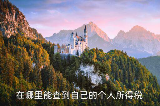如何查看自己交稅，怎么查自己交了多少稅