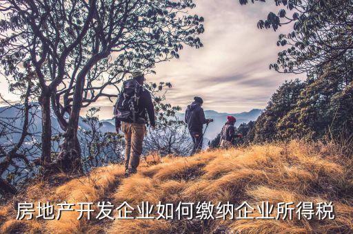 房地產企業如何申報稅，房產稅怎么申報