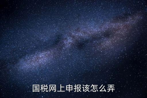 國稅網上申報該怎么弄