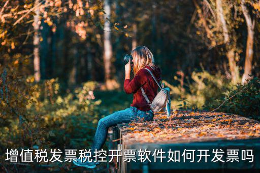 如何用稅控盤開票，小規模怎么使用作增值稅稅控盤開發票