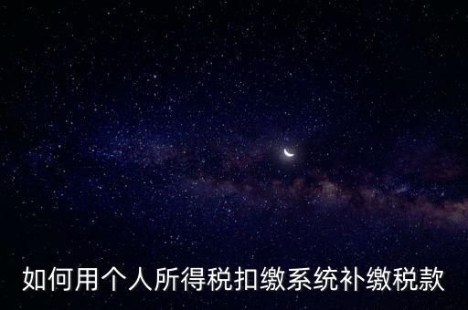 如何用個人所得稅扣繳系統補繳稅款