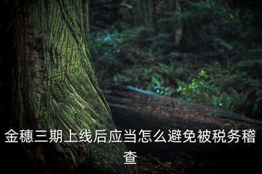 金稅三期如何防稽查，那如何預防稅局的稽查呢