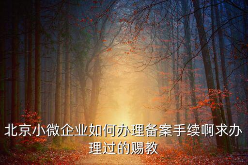 北京小微企業如何辦理備案手續啊求辦理過的賜教