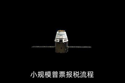 小規模普票報稅流程