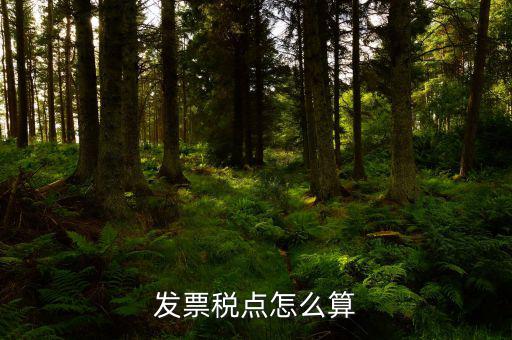 發票稅點怎么算