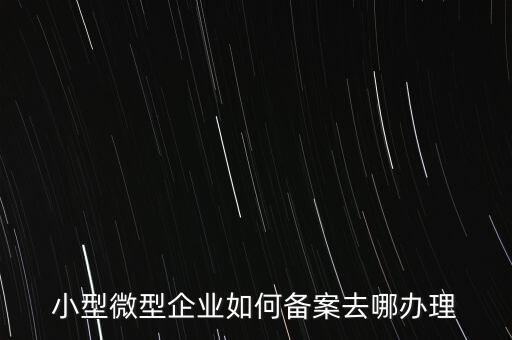 小型微型企業如何備案去哪辦理
