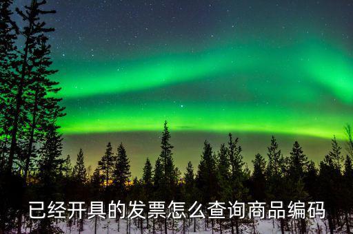 已經開具的發票怎么查詢商品編碼