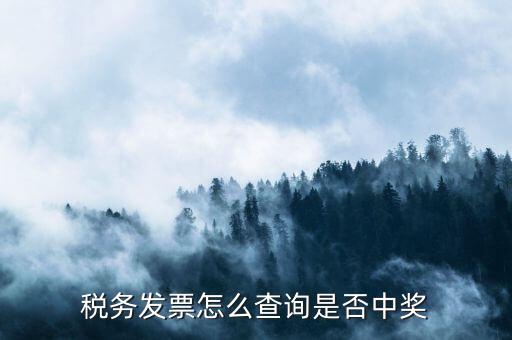 如何查地稅發票中獎，稅務發票怎么查詢是否中獎