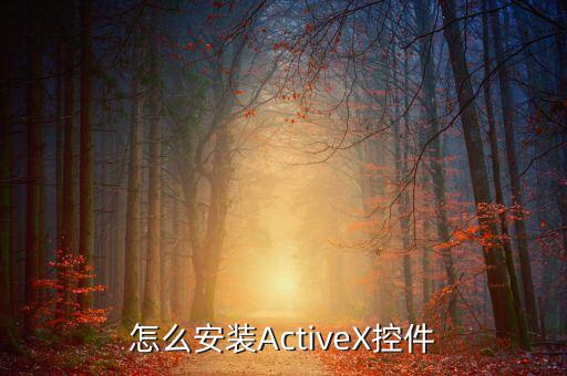 如何安裝scriptx，怎么安裝ActiveX控件