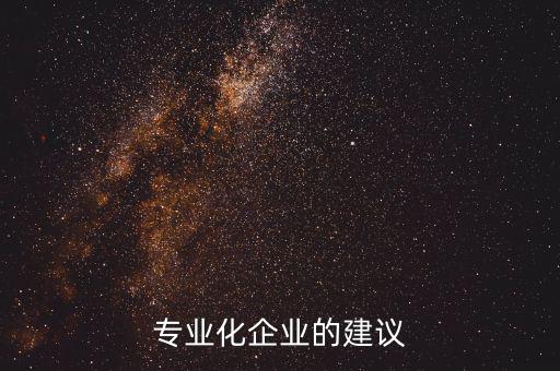 專業化企業的建議