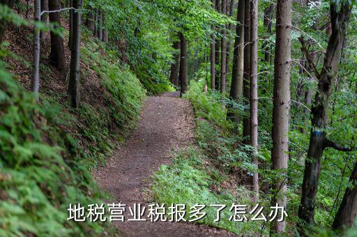 營業稅多交了如何處理，營業稅改征增值稅后多交的營業稅怎么辦交增值稅了不繳納營業