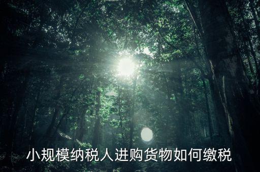 小規模納稅人如何交稅，小規模納稅人進購貨物如何繳稅