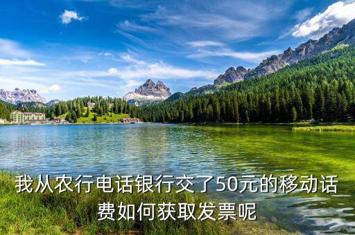 湖北移動電子發票如何獲取，中國移動手機帳單電子發票怎么樣下載