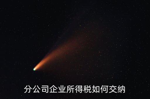 分公司企業所得稅如何交納