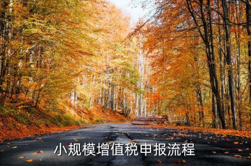 小規模納稅人 如何申報，小規模增值稅申報流程