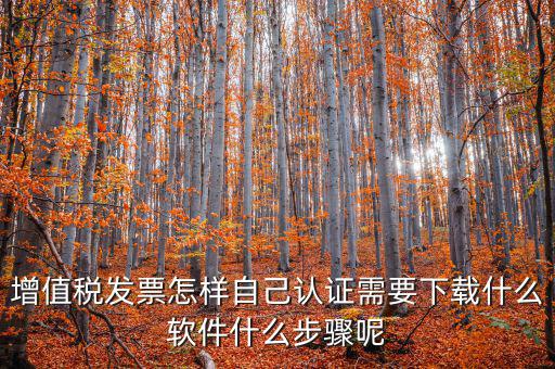 增值稅發票怎樣自己認證需要下載什么軟件什么步驟呢