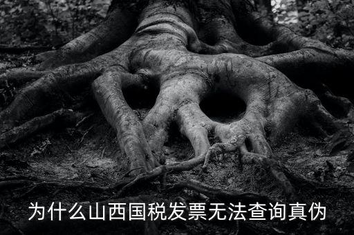 為什么山西國稅發票無法查詢真偽