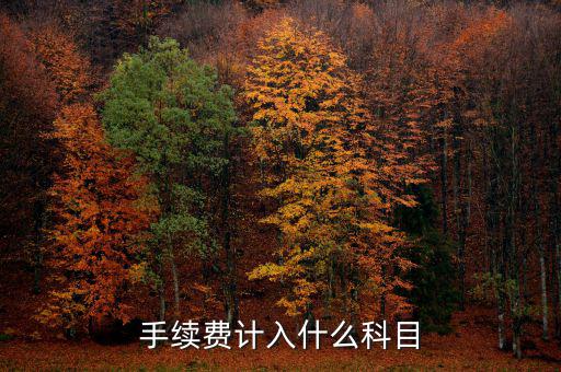 手續費計入什么科目
