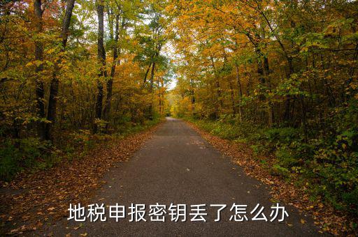 武漢地稅密鑰如何補辦，地稅報稅key掉了補辦需要什么手續要多少錢