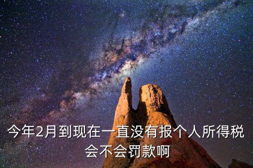 個稅申報不報會如何，個人所得稅自行申報不去做有什么危害