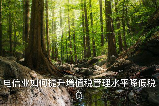 電信業如何提升增值稅管理水平降低稅負