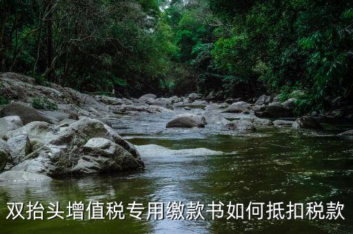 代理進口雙抬頭增值稅如何抵扣，海關稅單雙抬頭 增值稅抵扣問題