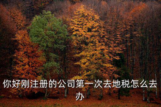 新辦企業如何辦地稅，新辦企業去地稅報道需要帶什么手續