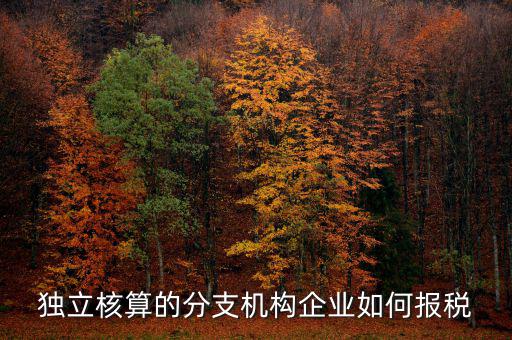 獨立核算的分支機構企業如何報稅