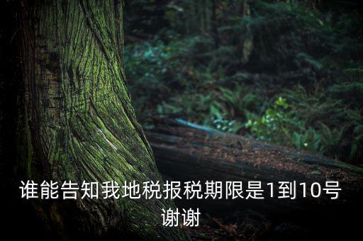 地稅的報稅期是什么時候，地稅中的年度財務報表申報期限是什么時候