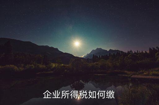 企業(yè)所得稅如何繳稅，企業(yè)所得稅如何繳納