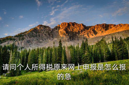 個人所得稅如何網上申報，個人所得稅網上申報流程