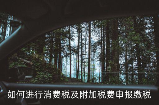 附加稅如何才能申報，如何進行消費稅及附加稅費申報繳稅