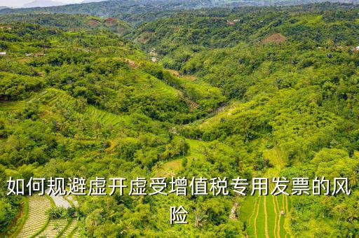 如何規避虛開虛受增值稅專用發票的風險