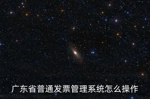 廣東省普通發票管理系統怎么操作