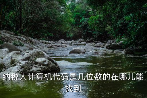 納稅人計算機代碼是幾位數的在哪兒能找到