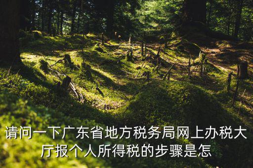 廣州地稅如何網上申報，想請教如何辦理廣州地稅網上申報
