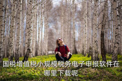 國稅增值稅小規模稅務電子申報軟件在哪里下載呢